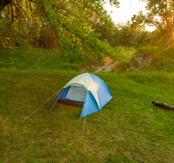 Палатка ACAMPER ACCO (4-местная 3000 мм/ст)